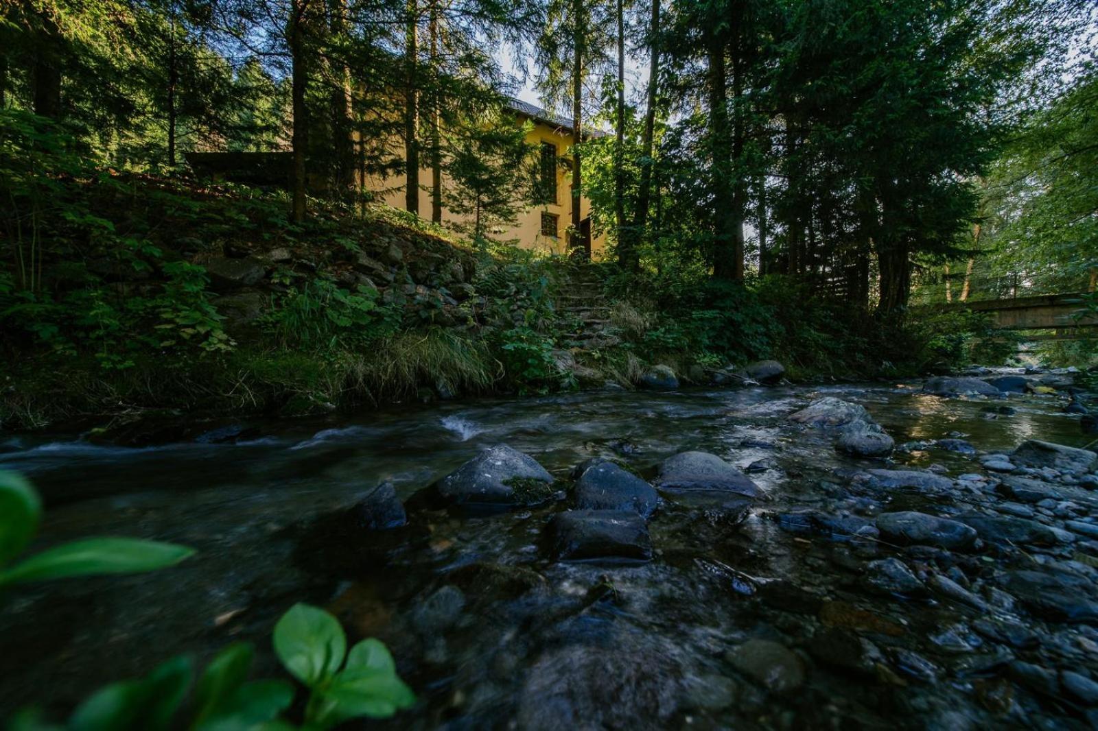 Vila Green & White Моєчу-де-Сус Екстер'єр фото