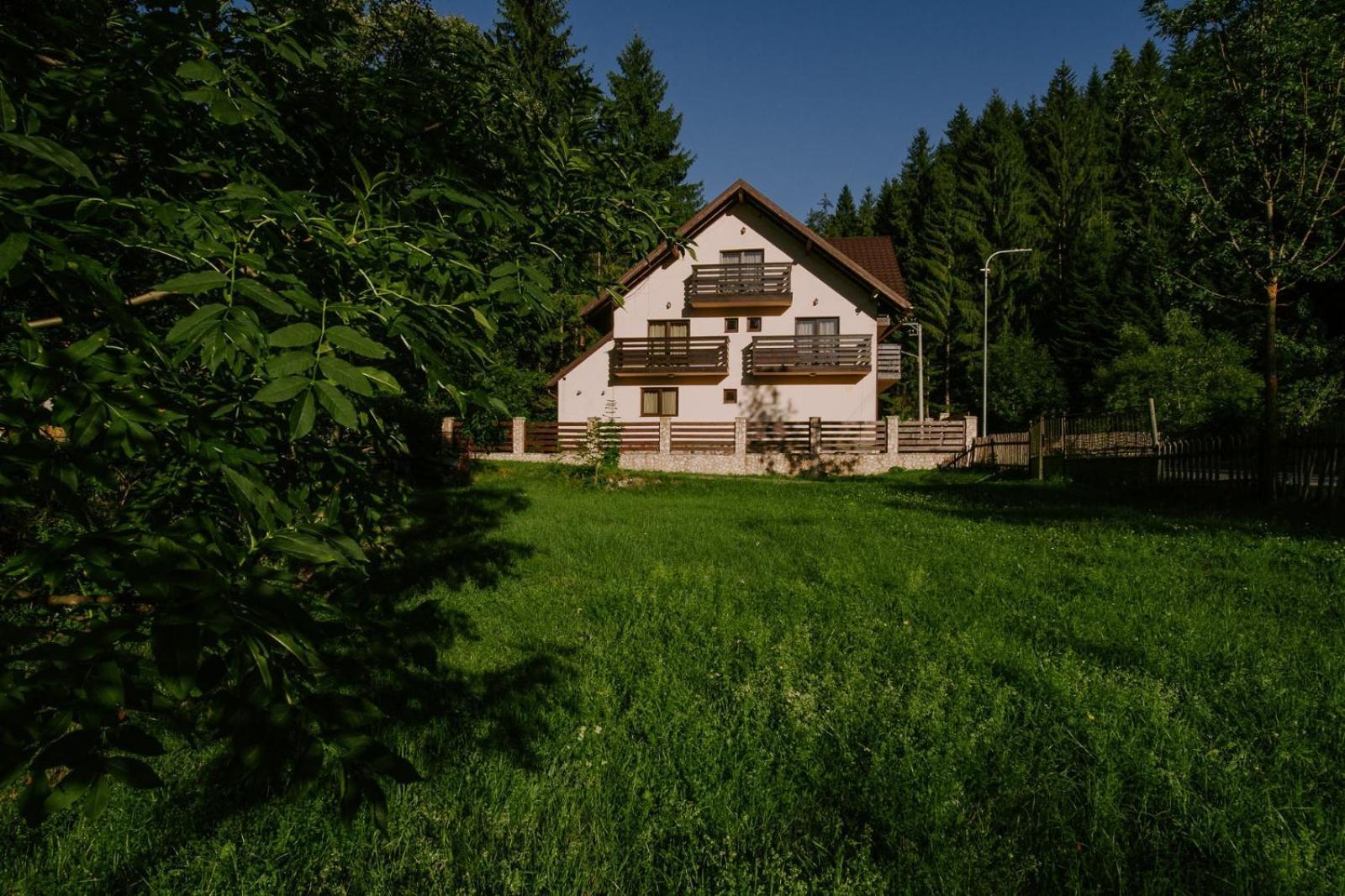 Vila Green & White Моєчу-де-Сус Екстер'єр фото